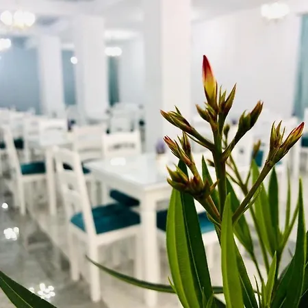 Hotel Tadora