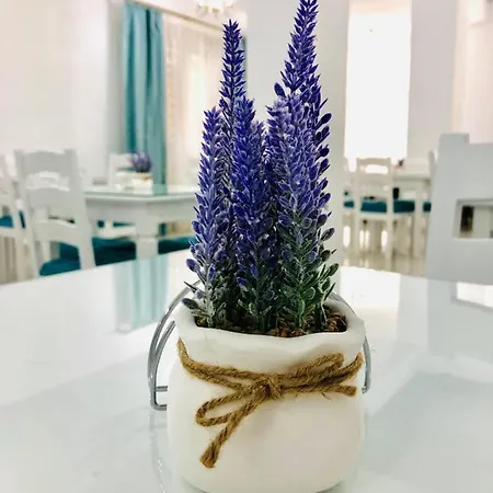 Hotel Tadora Eforie Nord