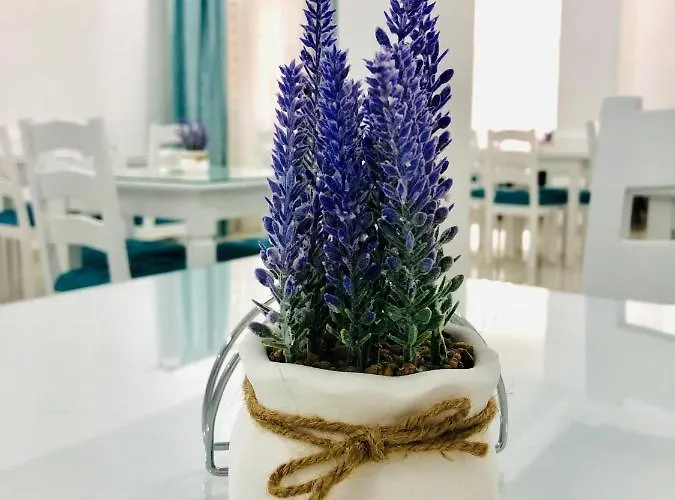 Hotel Tadora Eforie Nord