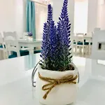 酒店 Tadora 艾福雷诺德